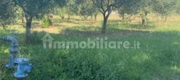 1760m² Land in Cervaro, Italy No. 133697 7