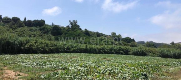 Grundstück in Lourinha, Portugal 4760m², Nr. 65611 2