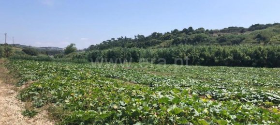 Grundstück in Lourinha, Portugal 4760m², Nr. 65611 3