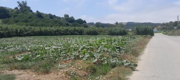 Grundstück in Lourinha, Portugal 4760m², Nr. 65611 5