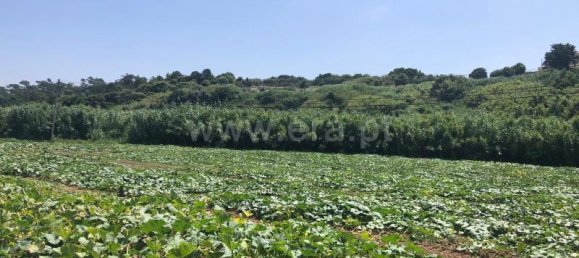 Grundstück in Lourinha, Portugal 4760m², Nr. 65611 4