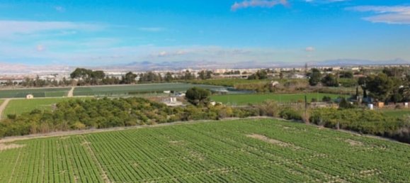 1 chambre Appartement à Algorfa, Spain No. 177432 15