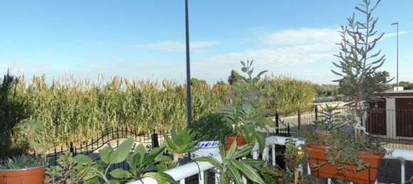 1 chambre Appartement à Algorfa, Spain No. 177432 5