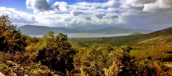 5 غرف نوم عقار تجاري في Florina, Greece رقم 6872 13