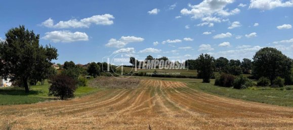 2600m² Land in Conzano, Italy No. 302784 7