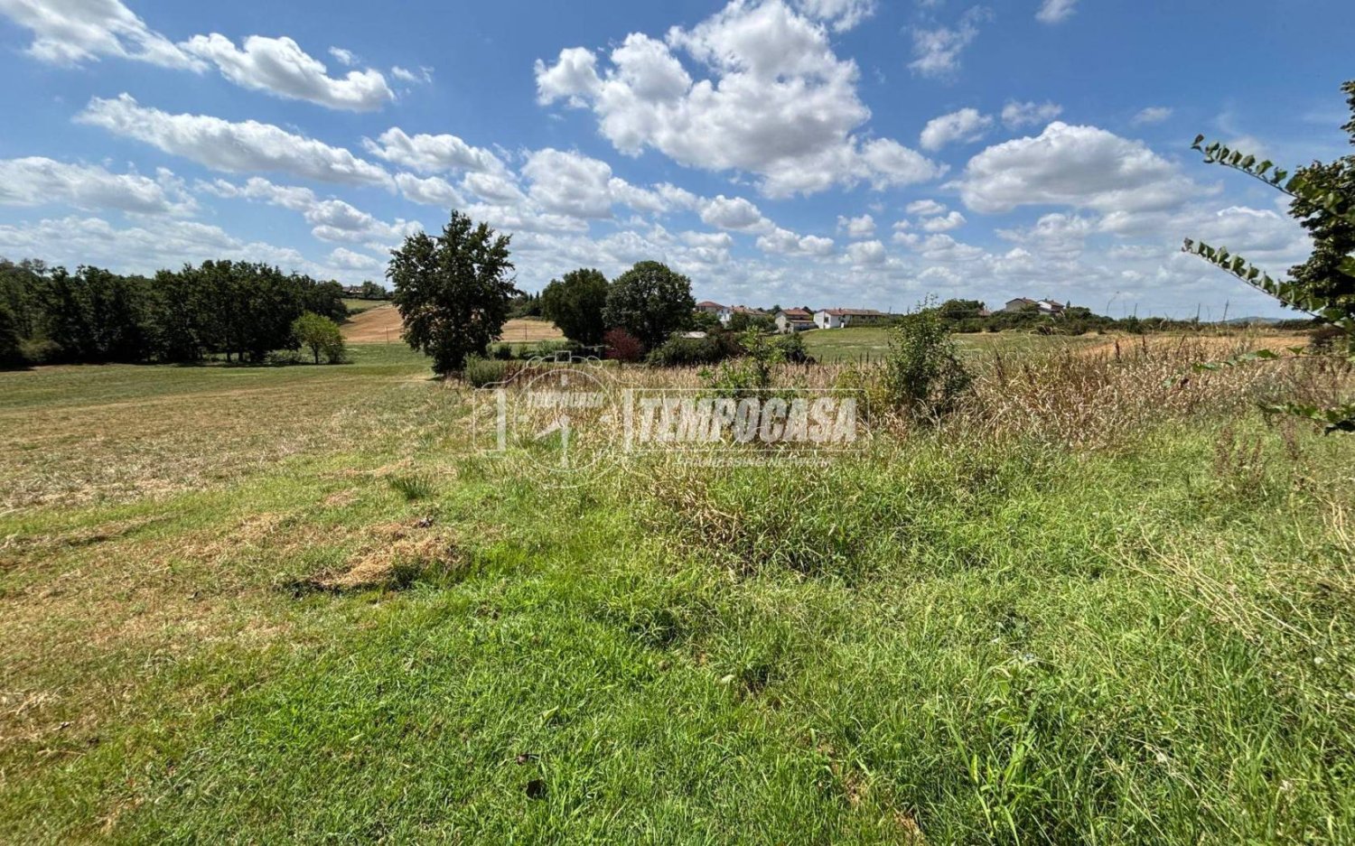 2600m² Land in Conzano, Italy No. 302784
