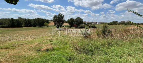 2600m² Land in Conzano, Italy No. 302784 2