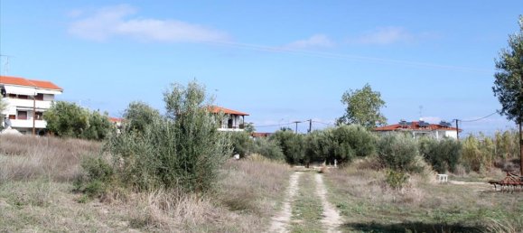 Отель, гостиница 3503м² в Халкидики, Греция № 8054 14