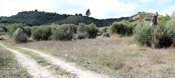 Отель, гостиница 3503м² в Халкидики, Греция № 8054 8