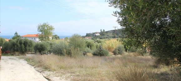 Отель, гостиница 3503м² в Халкидики, Греция № 8054 11