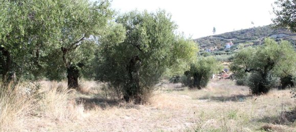 Отель, гостиница 3503м² в Халкидики, Греция № 8054 6