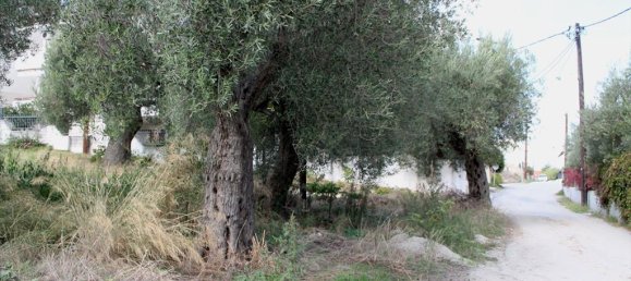 Отель, гостиница 3503м² в Халкидики, Греция № 8054 2