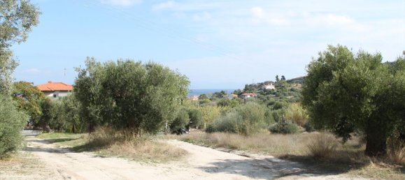 Отель, гостиница 3503м² в Халкидики, Греция № 8054 12