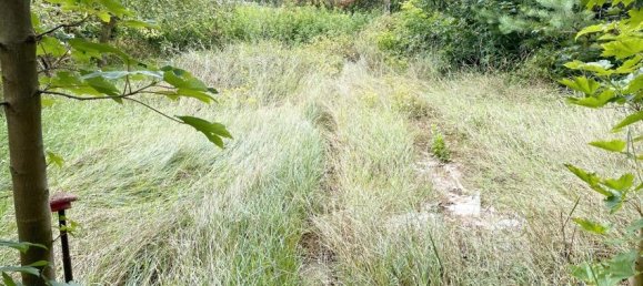 3 rooms House in Prignitz, Germany No. 226030 7