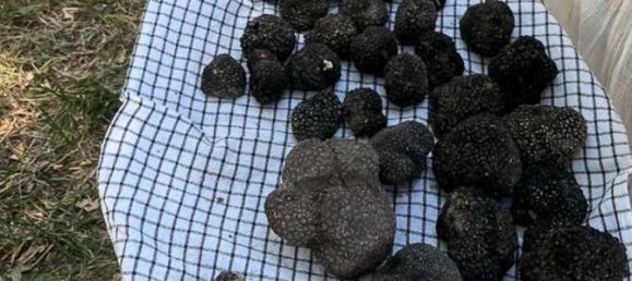 Villa T13 em Acqualagna, Italy N.º 295141 4