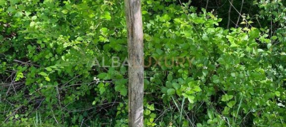 Villa T13 em Acqualagna, Italy N.º 295141 81