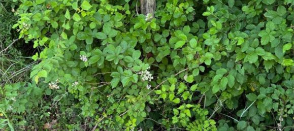 Villa T13 em Acqualagna, Italy N.º 295141 6