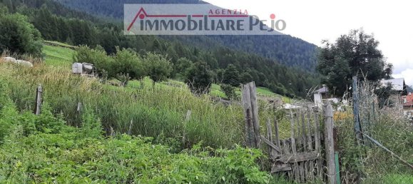 7-Zimmer Haus in Peio, Italy, Nr. 33298 3