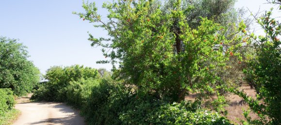 2 chambres Maison à Brindisi, Italy No. 223161 29