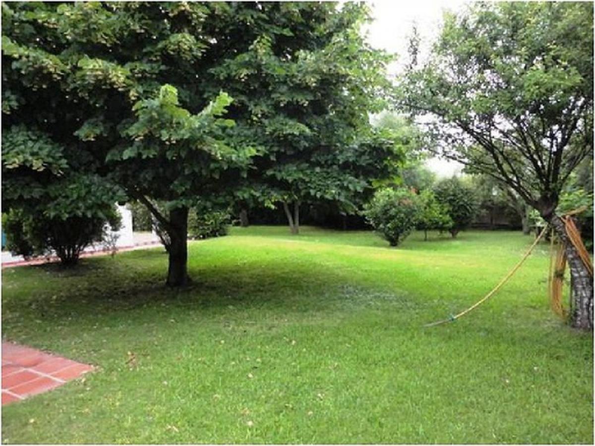 5 bedrooms House in Maldonado, Uruguay No. 5678