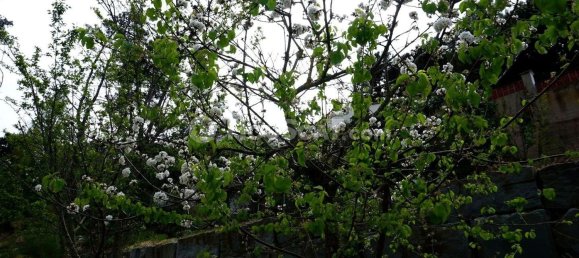 Casa de 3 dormitorios en Palafolls, Spain No. 149489 41