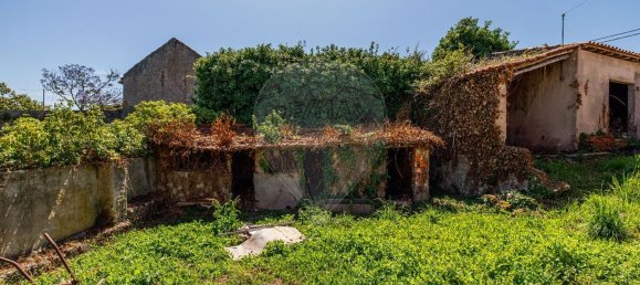 Casa de 1 dormitorio en Alcobaca, Portugal No. 33980 14