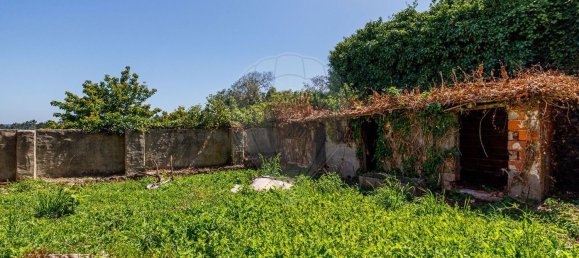 Casa de 1 dormitorio en Alcobaca, Portugal No. 33980 13