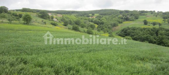 3 Schlafzimmer Haus in Trivento, Italy, Nr. 341578 23