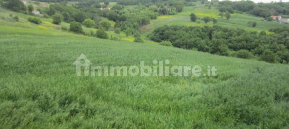 3 Schlafzimmer Haus in Trivento, Italy, Nr. 341578 24