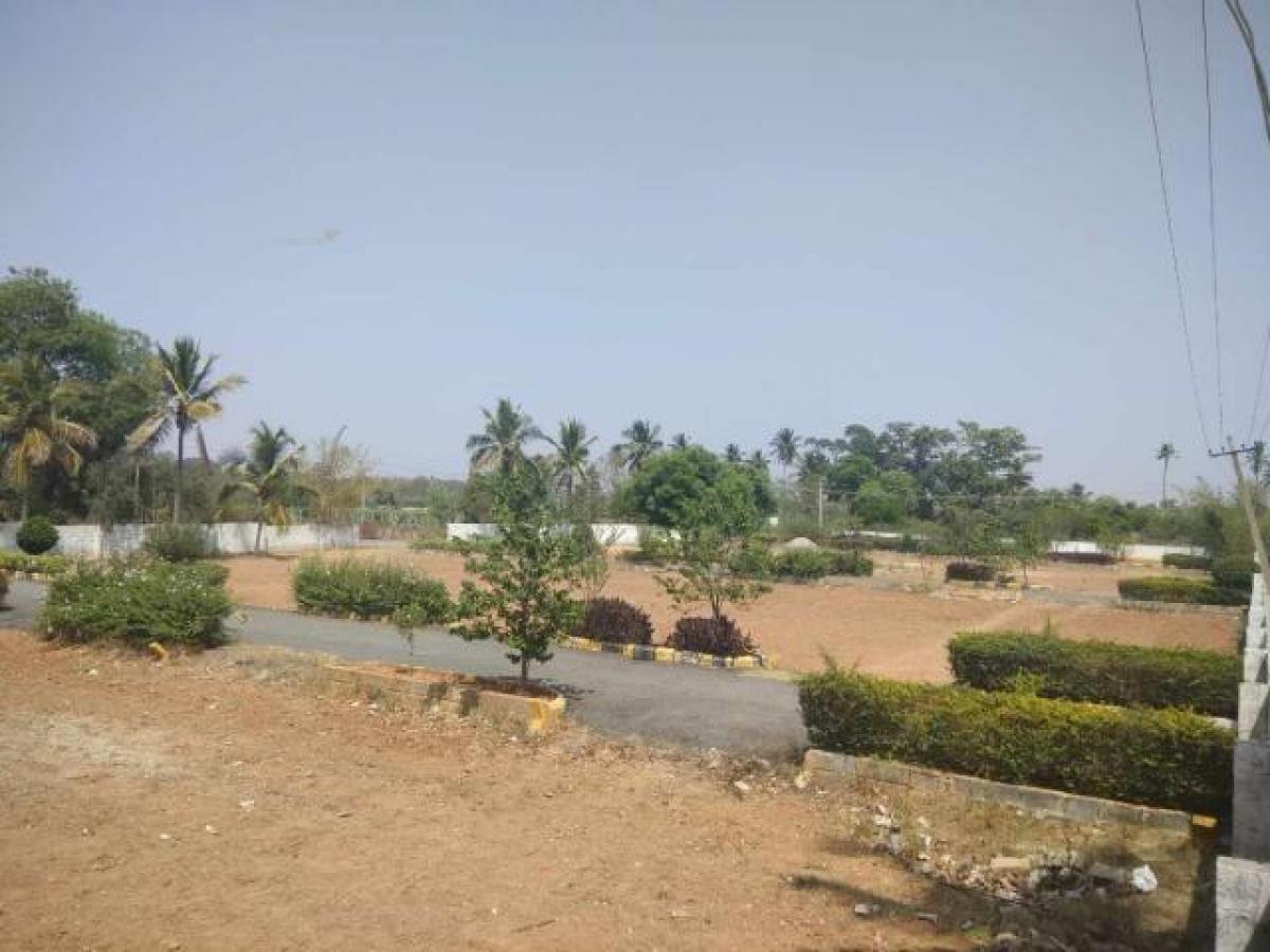  Land in Bangalore, India No. 29943