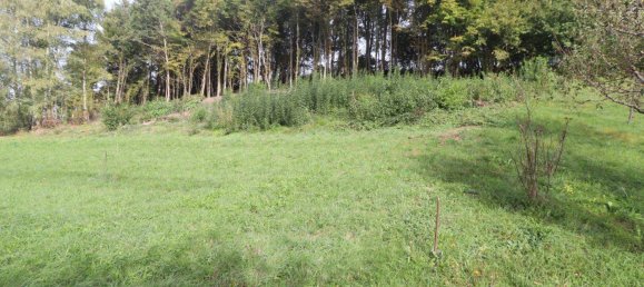  Land in Ludmannsdorf, Austria No. 255362 5