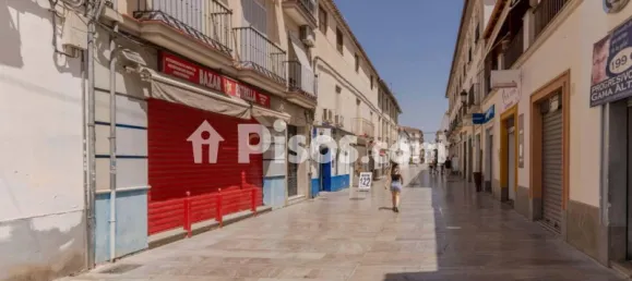 396m² Commercial property in Santa Fe, Spain No. 174584 20