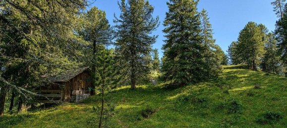 Grundstück in Reichenau, Austria, Nr. 61715 4