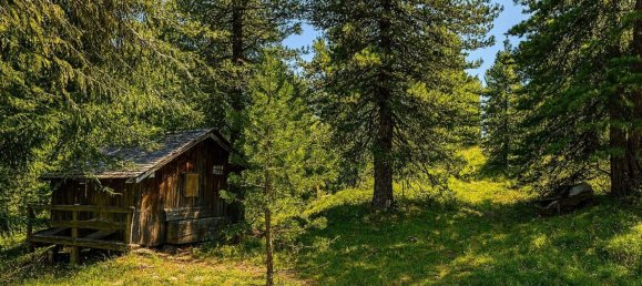 Grundstück in Reichenau, Austria, Nr. 61715 2