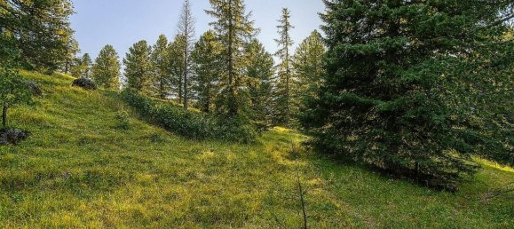 Grundstück in Reichenau, Austria, Nr. 61715 3