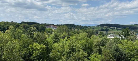 9 rooms Villa in Bad Tatzmannsdorf, Austria No. 131582 4