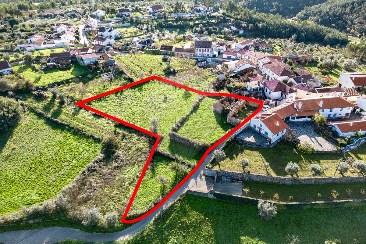 3 bedrooms House in Penacova, Portugal No. 166491