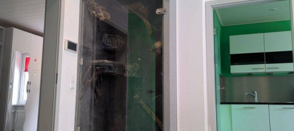 6 rooms House in Ortenaukreis, Germany No. 290959 15