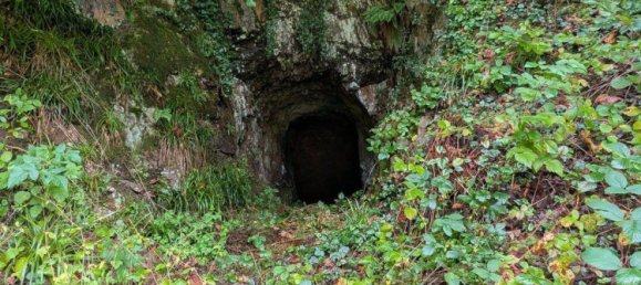 6 rooms House in Ortenaukreis, Germany No. 290959 40