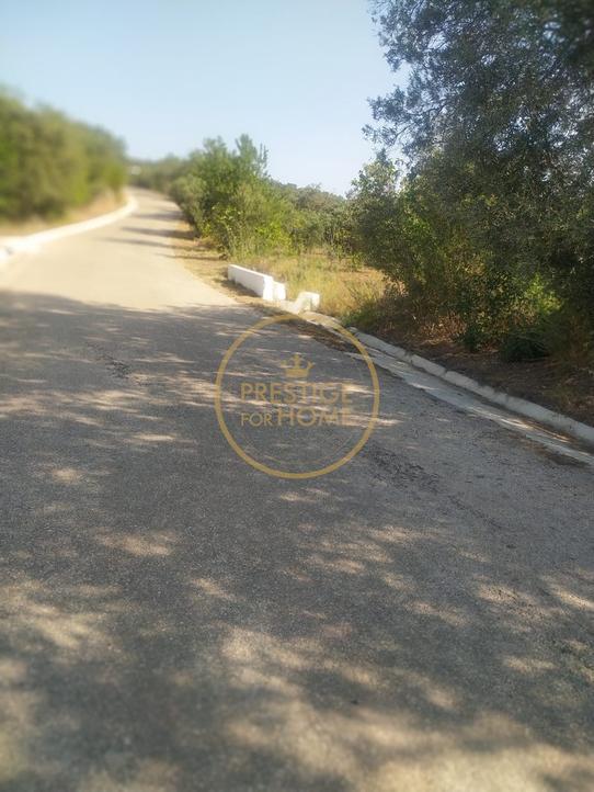 1750m² Land in Loule, Portugal No. 263863