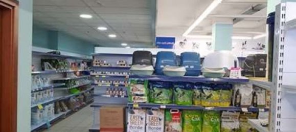  عقار تجاري في Varese, Italy 700متر مربع رقم 360942 12