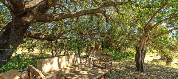 2 bedrooms House in Arta, Spain No. 164148 31