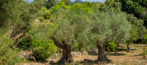 2 bedrooms House in Arta, Spain No. 164148 28