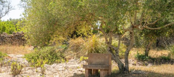 2 bedrooms House in Arta, Spain No. 164148 27