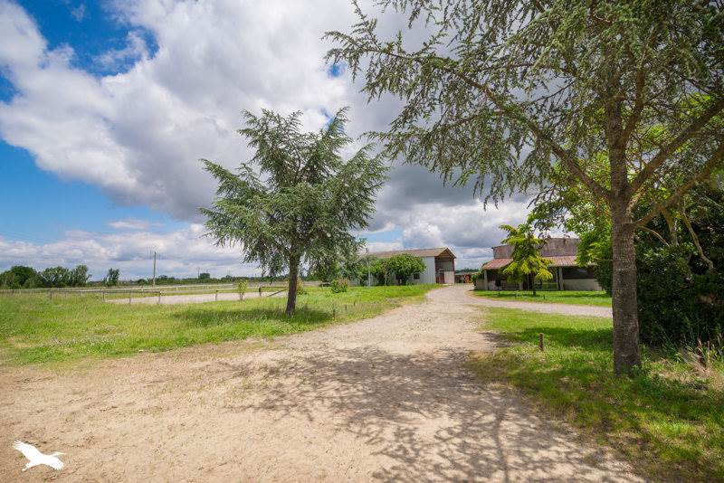 3 bedrooms Castles in Leguevin, France No. 341818