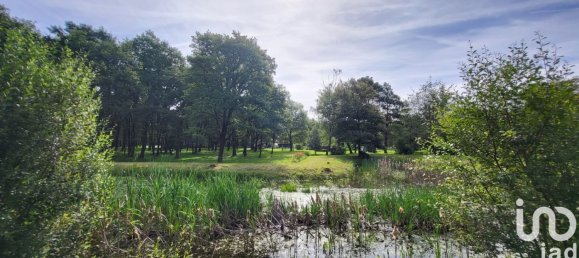 4 chambres Maison à Villefranche-sur-Cher, France No. 274176 19