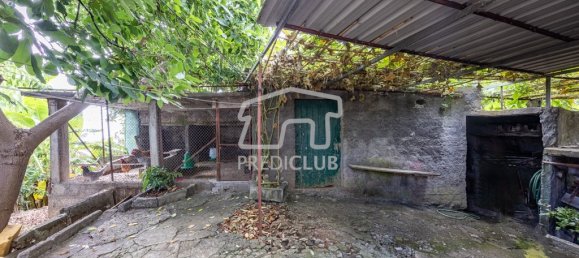 3 Schlafzimmer Villa in Calheta, Portugal, Nr. 240221 3