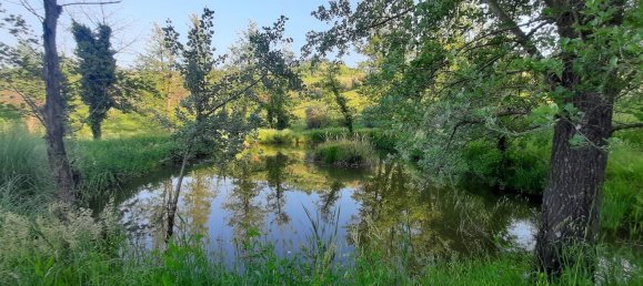 6 غرف نوم منزل في Montecatini Terme, Italy رقم 357364 44