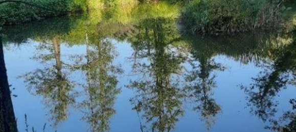 6 غرف نوم منزل في Montecatini Terme, Italy رقم 357364 40