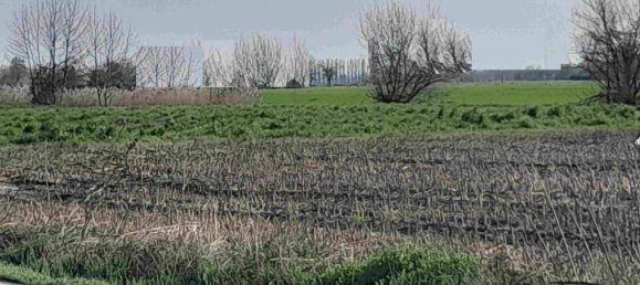 Земельный участок 35687м² в Гадзо Веронезе, Италия № 40094 2